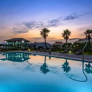 Eco **** Jeju