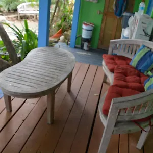 https://palmetto-guesthouse.comcaribbean.com
